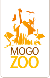 Mogo Zoo - Broome Tourism