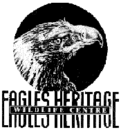 Eagles Heritage - Broome Tourism