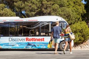 Rottnest Island Tour from Perth or Fremantle including Bus Tour - Broome Tourism