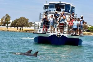 Mandurah Dolphin and Scenic Marine Cruise - Broome Tourism