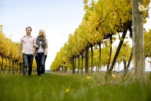 Overnight Daylesford and Macedon Ranges Gourmet Food Trail Tour from Melbourne - Broome Tourism