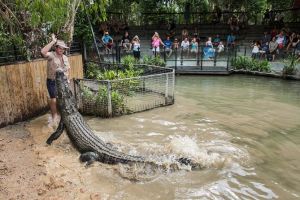 Hartley's Crocodile Adventures General Entry Ticket - Broome Tourism